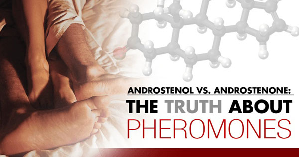 Androstenol vs. Androstenone: The Truth About Pheromones