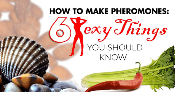 How To Make Pheromones: 6 Sexy Things You Should Know