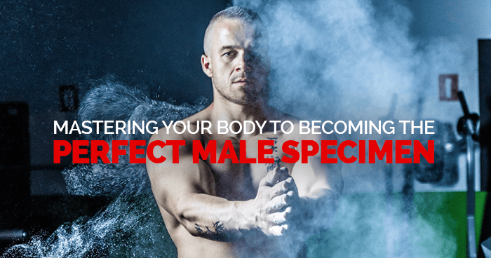 Mastering Your Body to Becoming the Perfect Male Specimen