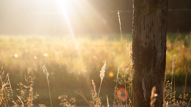 sunrays